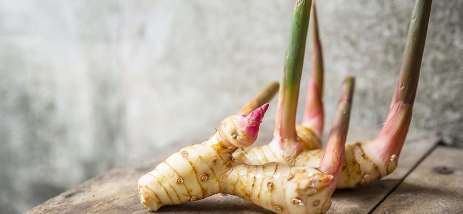 Galangal root tincture: medicinal properties, recipes, use for men, for potency, reviews