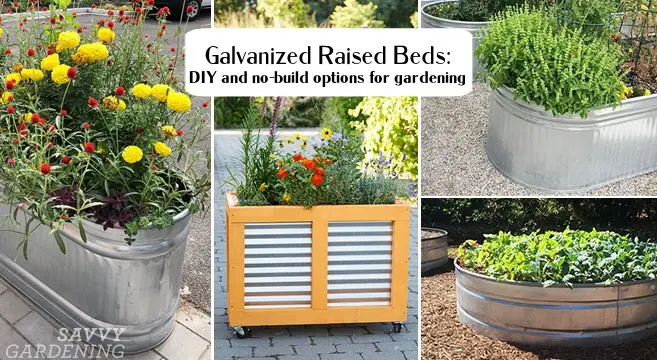 Galvanized beds: types, advantages, rating of the best designs and ways to make them yourself
