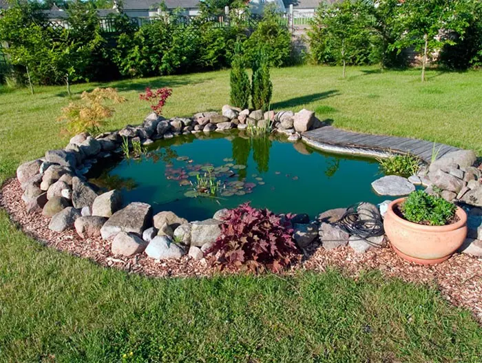 Garden plastic pond (types, forms, installation, care): building a beautiful pond in the country + photo ideas for decor