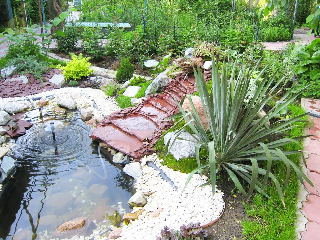 Garden plastic pond (types, forms, installation, care): building a beautiful pond in the country + photo ideas for decor