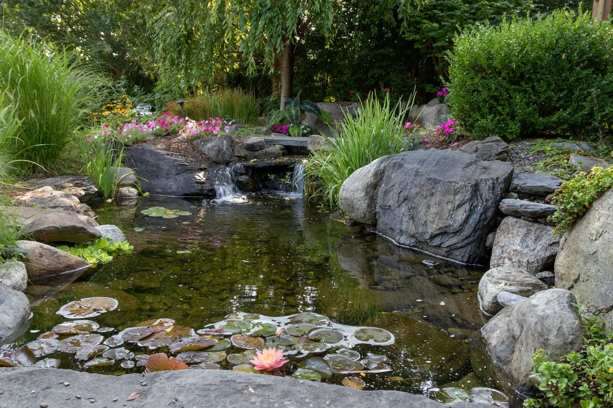 Garden plastic pond (types, forms, installation, care): building a beautiful pond in the country + photo ideas for decor