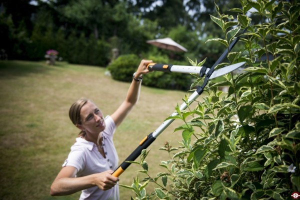 Garden pruner: how to choose the right garden tool