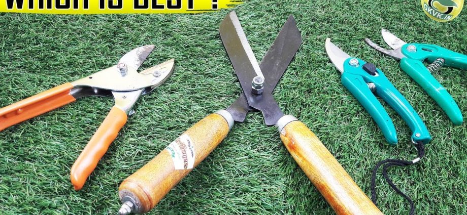 Garden pruner: how to choose the right garden tool