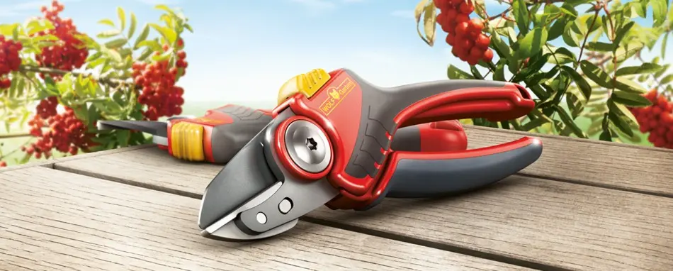 Garden pruners: how to choose a reliable model