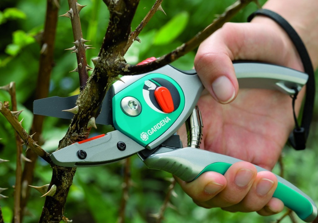 Garden pruners: how to choose a reliable model