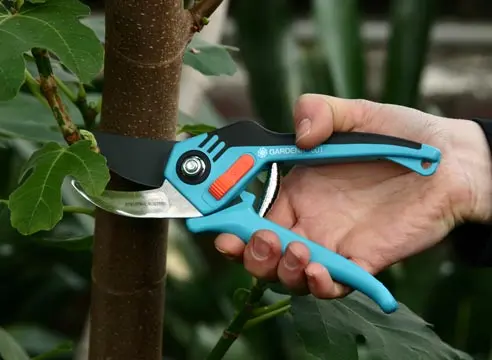 Garden pruners: how to choose a reliable model