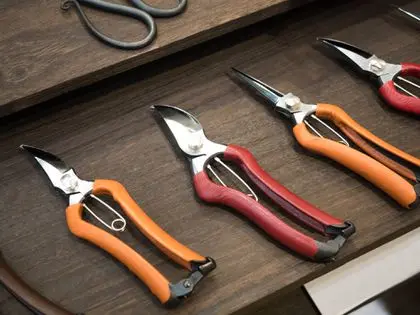 Garden pruners: how to choose a reliable model