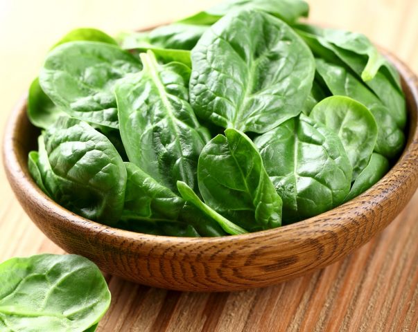 Garden spinach: useful properties, cultivation