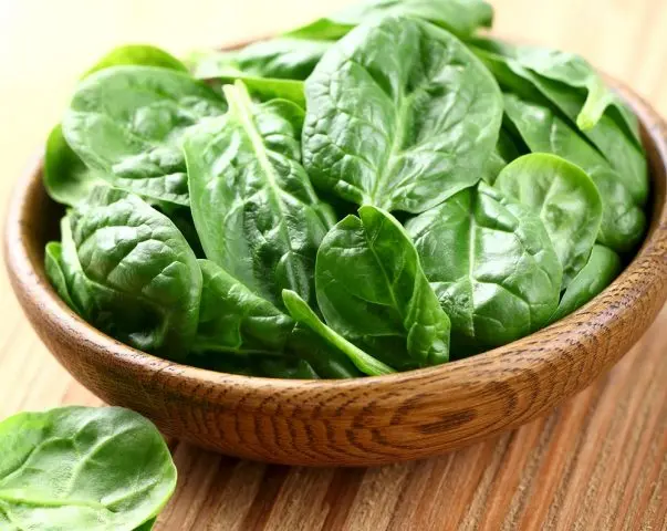 Garden spinach: useful properties, cultivation