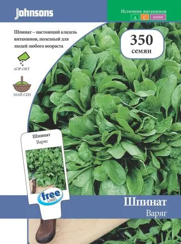 Garden spinach: useful properties, cultivation