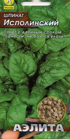 Garden spinach: useful properties, cultivation