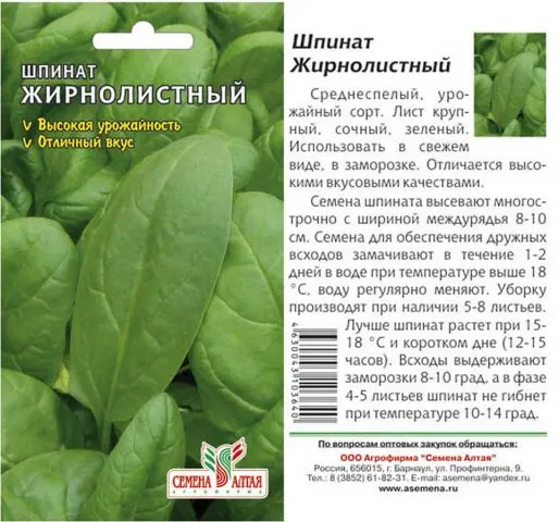 Garden spinach: useful properties, cultivation