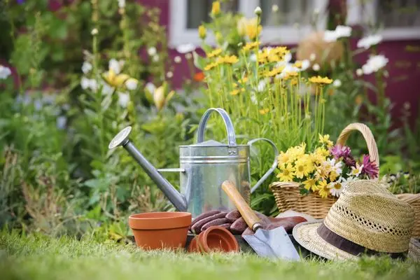 Gardeners lunar calendar for july 2022: auspicious days