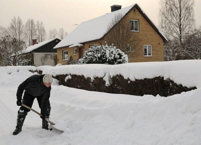 Gardeners lunar calendar for March 2022