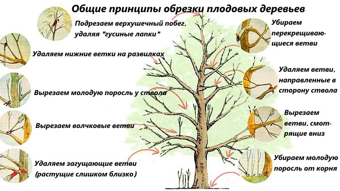 Gardeners lunar calendar for september 2022: auspicious days