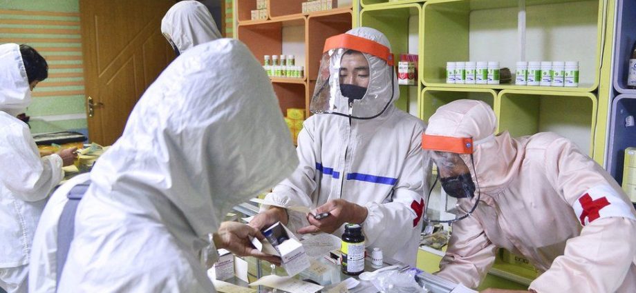 Gargling and drinking willow tea. This is how North Korea is fighting the coronavirus