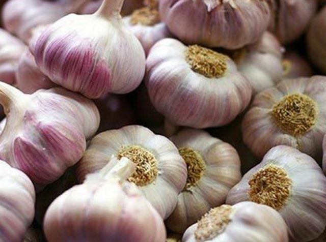 Garlic Azure: characteristics and description of the variety