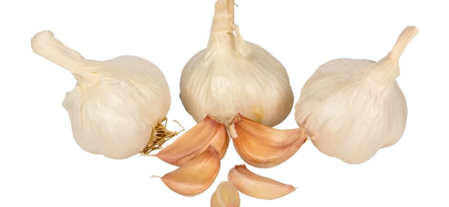 Garlic Azure: characteristics and description of the variety