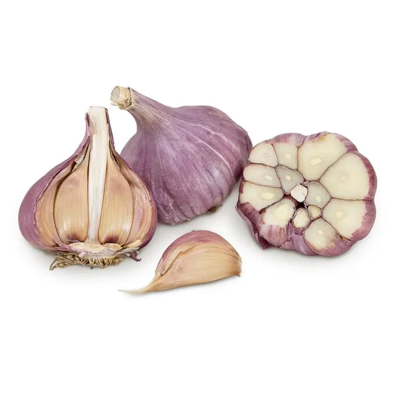 Garlic Bogatyr: variety description