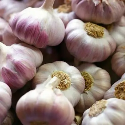 Garlic Dobrynya: variety description + reviews