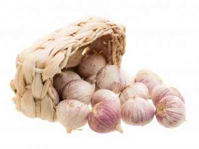 Garlic Lyubasha: variety description and characteristics