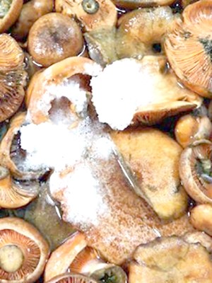 Garlic mushrooms: recipes for winter preparations