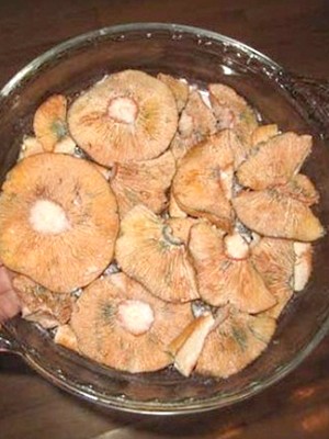 Garlic mushrooms: recipes for winter preparations