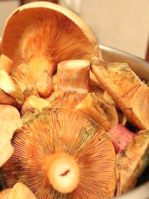 Garlic mushrooms: recipes for winter preparations