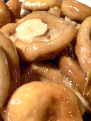 Garlic mushrooms: recipes for winter preparations