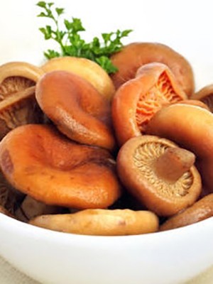 Garlic mushrooms: recipes for winter preparations