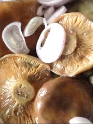 Garlic mushrooms: recipes for winter preparations