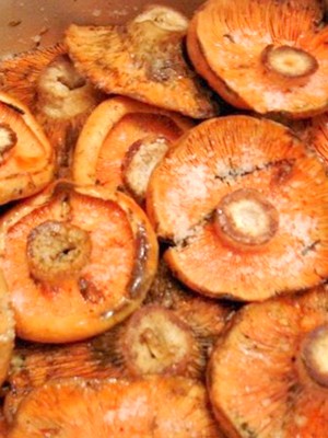 Garlic mushrooms: recipes for winter preparations