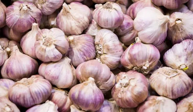 Garlic planting calendar for 2022: in October, before winter