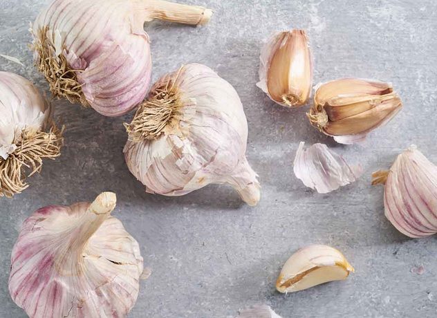 Garlic Sail: characteristics and description of the variety