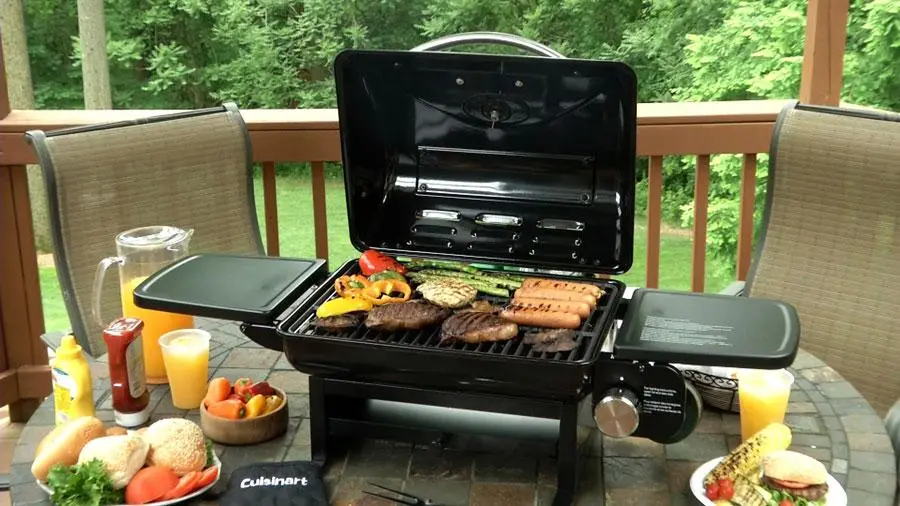 Gas barbecue: features, advantages, disadvantages, an overview of the best models of grills and barbecues on gas in 2022