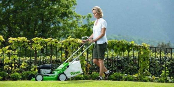 Gasoline lawn mower: rating of the best models