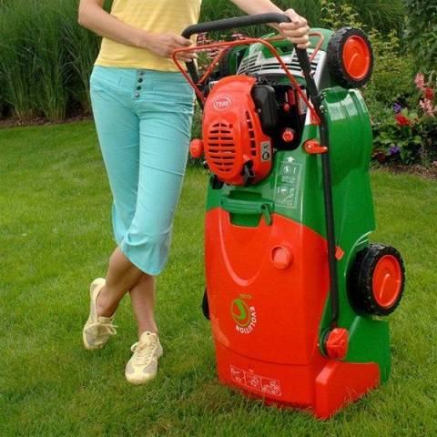 Gasoline lawn mower: rating of the best models