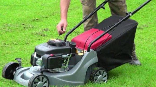 Gasoline lawn mower: rating of the best models