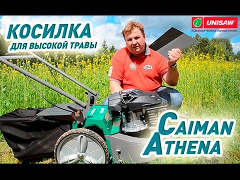 Gasoline lawn mower: rating of the best models