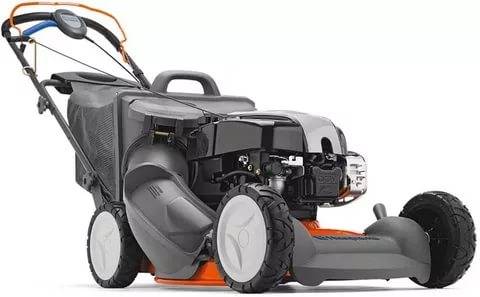 Gasoline lawn mower: rating of the best models