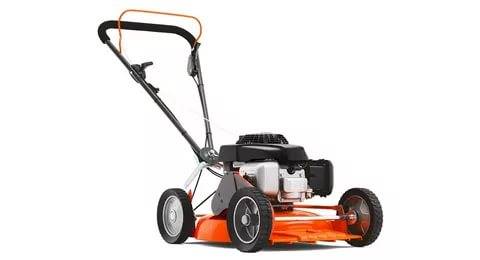 Gasoline lawn mower: rating of the best models