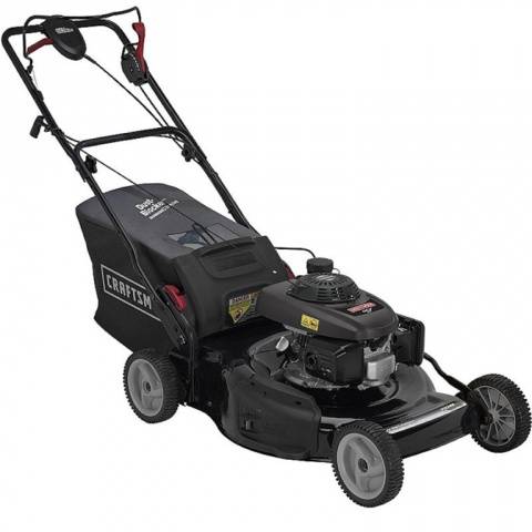 Gasoline lawn mower: rating of the best models