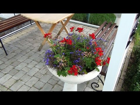 Gazebo with a shed roof: how to build a simple metal or wooden pavilion to give your own hands