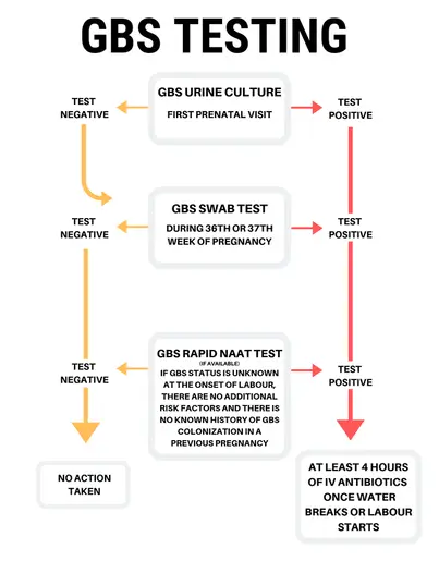 GBS test in pregnancy &#8211; test for group B streptococci [EXPLAINED]