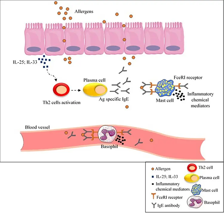 Genes responsible for gluten intolerance have been recognized