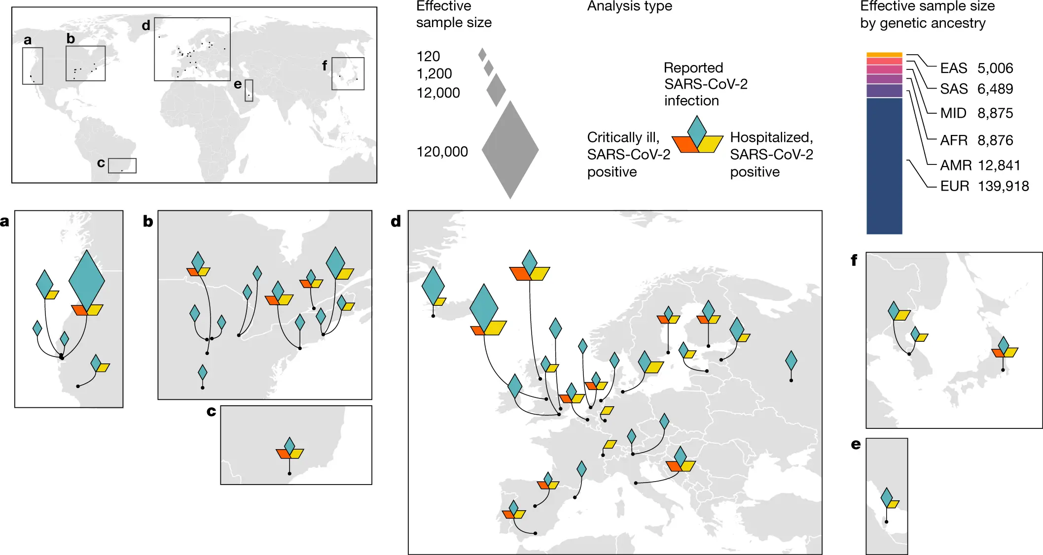 Genes responsible for the severe course of COVID-19 have been discovered. Polish woman in an international research team