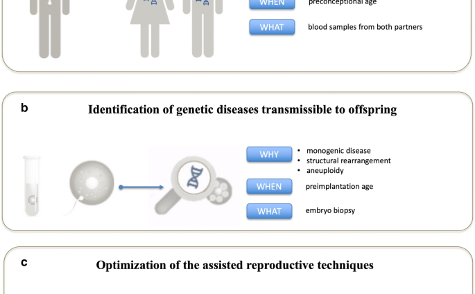 Genetic tests before pregnancy and diagnosis of male and female infertility