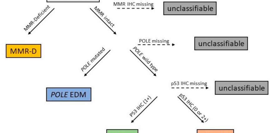 Genomic analysis of uterine cancer &#8211; classification of neoplastic tumors