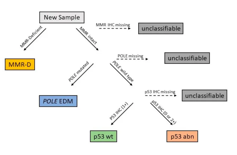 Genomic analysis of uterine cancer &#8211; classification of neoplastic tumors