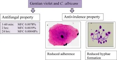 Gentian violet &#8211; what is it for? Properties of gentian